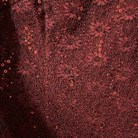 Alex Evenings Burgundy Sequin Lace Mini Dress - Picture 3 of 9